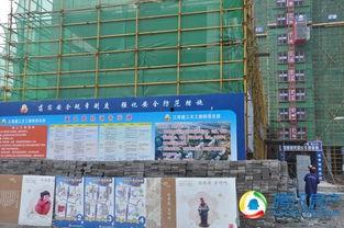 青云譜最新爆料,揭秘神秘勢力背后的驚天秘密